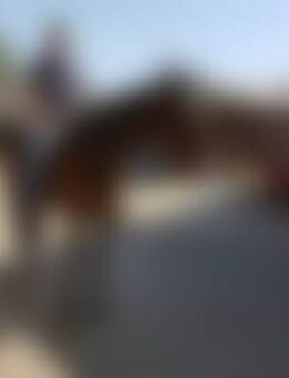 Leo*** - Burgdorf (Landkreis Region Hannover)