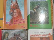 17 x Pony Club Pferde Buch Kinderbuch Bücher Ross Abenteuer Roman - Inwil