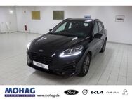 Ford Kuga, ST-Line Winter Paket, Jahr 2023 - Essen