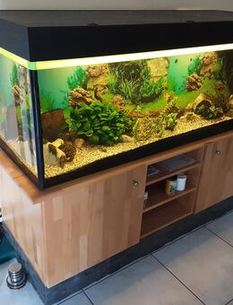 Aquarium - Verl