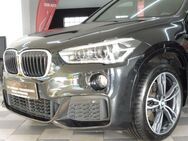 BMW X1 25 d M Sport Panorama/Spur/Head-Up/Led - Bünde