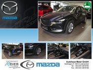 Mazda CX-30 Selection Sitzheizung Navi - Lüdenscheid