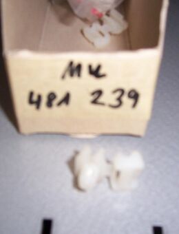 MU481239 Clip Verriegelung Tür hinten Mitsubishi Sp. Runner/Gear/L400 Van - Hannover Vahrenwald-List