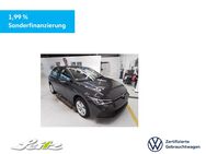 VW Golf, 2.0 TDI VIII Life, Jahr 2024 - Weingarten