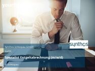 Spezialist Entgeltabrechnung (m/w/d) - Schkopau