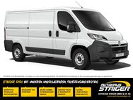 Opel Movano, Cargo L1, Jahr 2022 - Wolfach