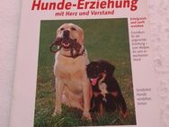 Hunde-Erziehung - Landau (Pfalz)