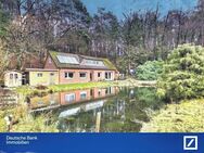 Freistehendes Einfamilienhaus auf Naturgrundstück mit unverbautem Blick in Bispingen / Hützel - Bispingen