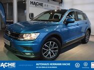 VW Tiguan, 1.4 TSI Comfortline, Jahr 2018 - Blomberg (Nordrhein-Westfalen)