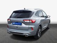 Ford Kuga 2.0 EcoBlue Aut. ST-LINE X - Hildesheim