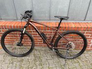 Verkaufe mein Mountainbike Giant Talon 1 hematite [29“] - Nordhorn