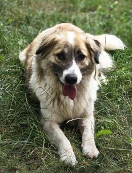 Aufgeschlossen + sozial = GOETHE ♥️ - München