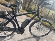 Verkaufe e Bike Hercules Edison F8 Bj.2015 - wenig gefahren - Tiefenbronn