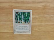 Magic The Gathering-Deckmaster. -Wall of Swords. - Nörvenich