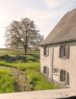 Außergewöhnliches Anwesen mit großem Areal und diversen Nebengebäuden - Münstermaifeld