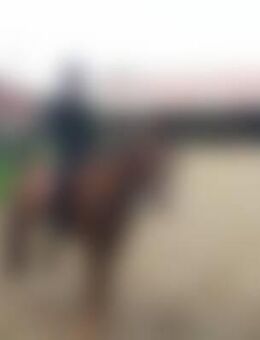 Zau*** - Hückelhoven