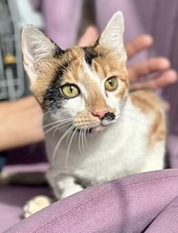 Handicap Sole hofft auf ein Zuhause! - Waakirchen