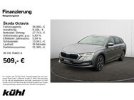 Skoda Octavia, 2.0 TDI Combi Style, Jahr 2024 - Hildesheim