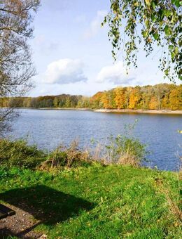 Ideales, freistehendes Haus für die Familie / 142 qm Wohnfläche / 2 Garagen / 590 qm EP-Grundstück / Innenkamin / große Südterrasse /naturnahes Wohnen - Haltern (See)