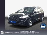 Ford Kuga 2.0 EcoBlue Aut. ST-LINE X - Hannover