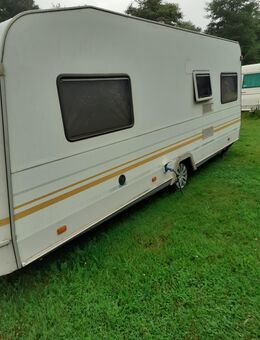 Wohnwagen mit Stellplatz zu verkaufen oder zu vermieten - Trier