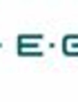 Project Manager PPO (m/w/d) - Oberderdingen