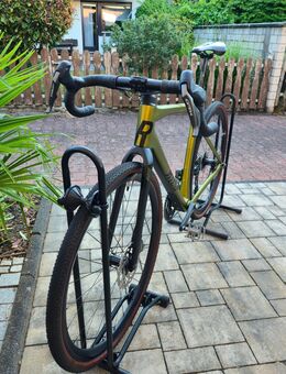 ROSE BACKROAD GRX RX810 Di2 2x11 evil pepper green 55cm Carbon Gravel Bike - Wesseling