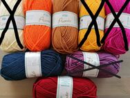 500g dicke Wolle in schönem Farben 20% Wolle Pronto von Rellana - Dahme