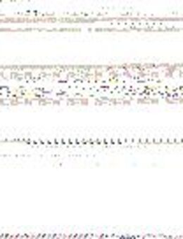 IT-Berater (w/m/x) in Dresden - Dresden