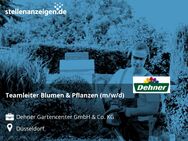 Teamleiter Blumen & Pflanzen (m/w/d) - Düsseldorf