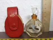 Vintage 9 Parfüm Flacon Miniaturen mit Karton / Flaschen Leer + Voll - Sammelobjekte - Tettnang