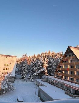Whg. / Ferien-Whg. _ im Schwarzwald - Unterkirnach