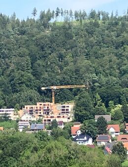 Blick auf die Altstadt von Hann. Münden und Sonne von früh bis spät - Hannoversch Münden Zentrum