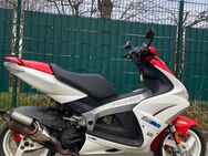 PEUGEOT JETFORCE R-CUP Sondermodell 50ccm Roller mit Papiere - Coswig