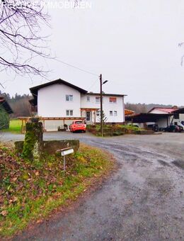 Großes landwirtschaftliches Anwesen mit 2 Häusern, Nebengebäuden, Wohnmobilstellplätzen etc. - Mossautal