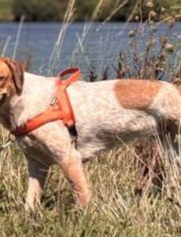 Alisa sucht Menschen mit großem Herz - München