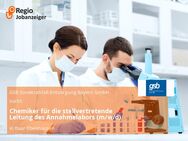 Chemiker für die stellvertretende Leitung des Annahmelabors (m/w/d) - Baar-Ebenhausen