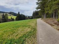 Gewerbe, Wohnen - Entwickelbare Fläche in St.Georgen-Peterzell - Sankt Georgen (Schwarzwald)