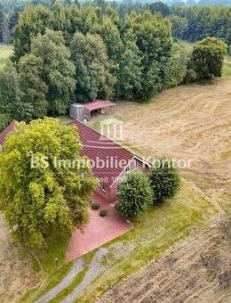 Traumhafte Alleinlage für Individualisten und Naturliebhaber - Ostrhauderfehn