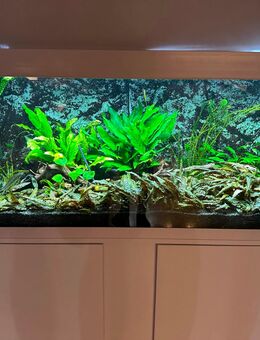 Aquarium Eheim mit Unterschrank+ Beleuchtung+Struktur Rückwand - Berlin Treptow-Köpenick