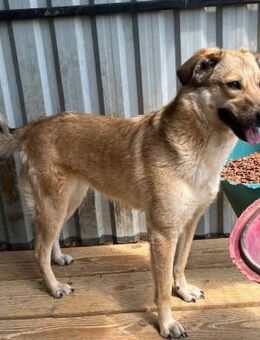 ❤️Süße Nana ❤️ - Eislingen (Fils)