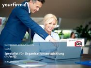 Spezialist für Organisationsentwicklung (m/w/d) - Mannheim