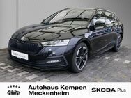 Skoda Octavia, 2.0 TSI Combi Sportline 18 VC, Jahr 2024 - Meckenheim