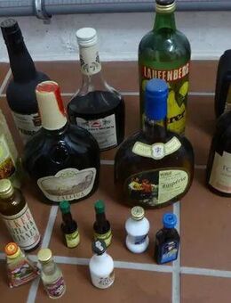 Alkohol Rum Korn Bitter Likör Schnaps Martini Wein Konvolut 10 große Flaschen - Köln