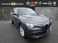 Alfa Romeo Stelvio 2.9 V6 Bi-Turbo Quadrifoglio Q4 AT8 - Altenkirchen (Westerwald)