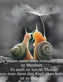 Best Friends gesucht - Oelde