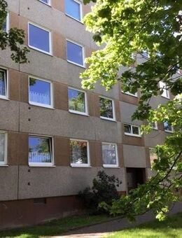 Schöne Wohnung sucht Mieter: interessante 3-Zimmer-Wohnung - Kassel