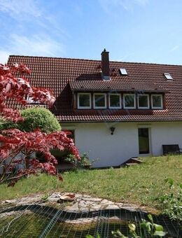 ... CHARMANT in Waldrandlage ... - Darmstadt