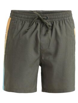 Quiksilver Boardshorts Everyday Holmes 16"