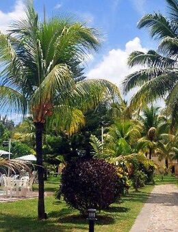 Atlantik24 🎉 JUBILÄUMSDEAL: Mauritius All-Inkl. Direktflug -100€! Nur 1449€ - Atlantik24 - Essen